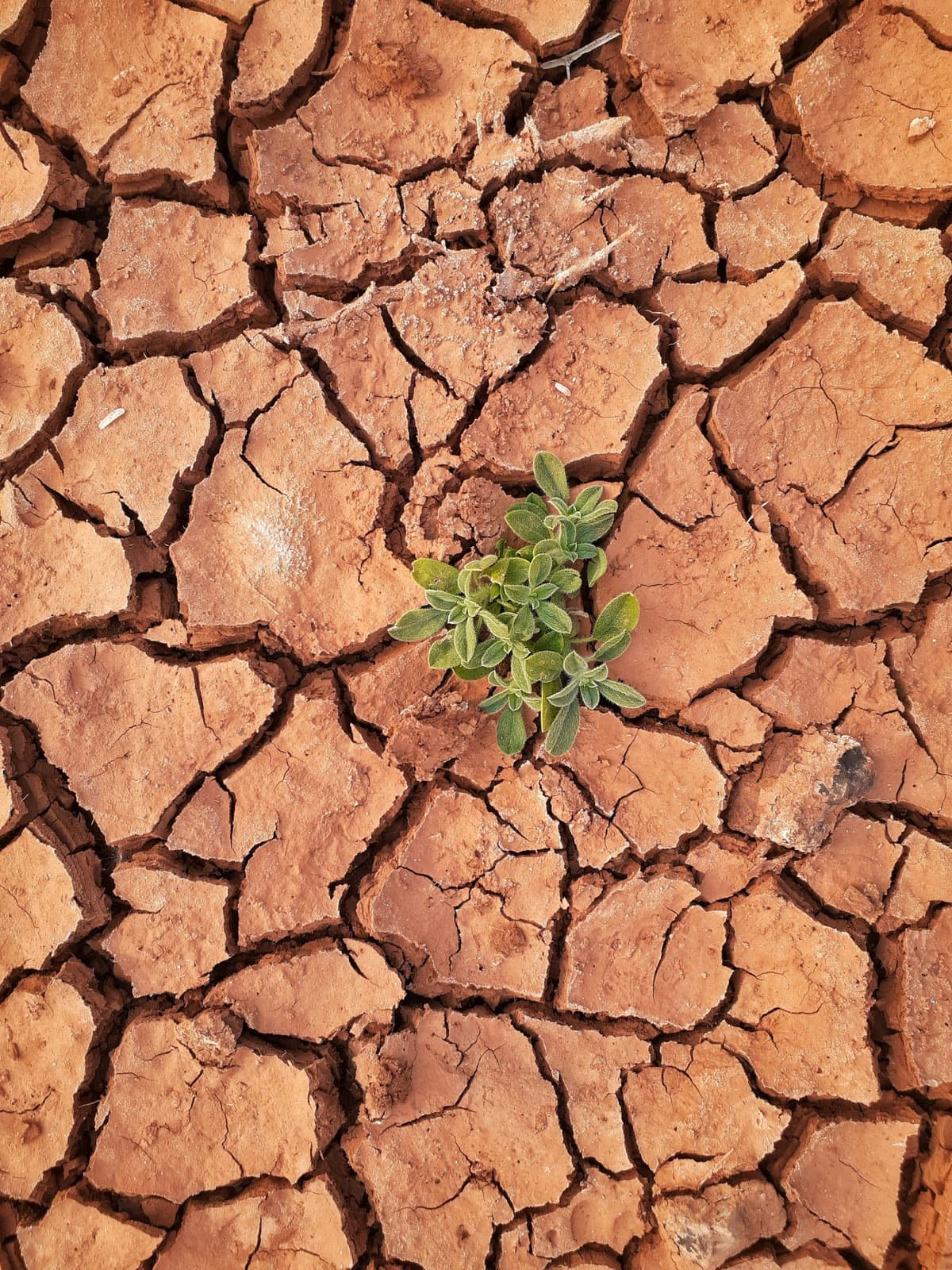 Erosion